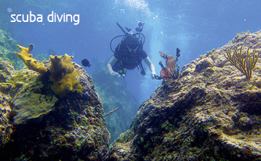 Scuba Diving