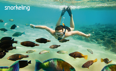 Snorkeling